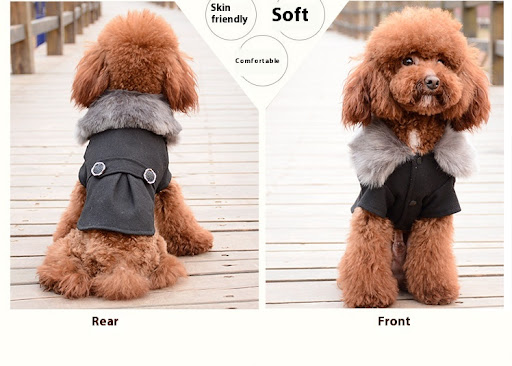 Title 5, New Pet Feet Solid Color Autumn and Winter Clot...