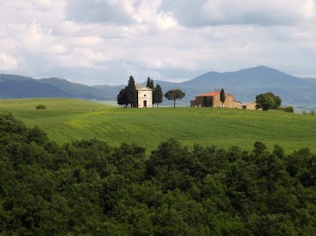 Val d’Orcia y Creste Senese - BAJO EL CIELO DE LA TOSCANA (28)