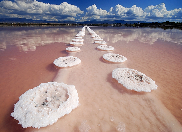 Creativita' Naturale,bianco,blu,rosso. di InsolitiScatti-di-CarloSoro