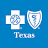 BCBSTX icon