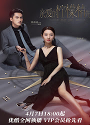 Plot Love China Web Drama