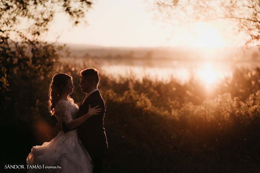 Huwelijksfotograaf Tamas Sandor (stamas). Foto van 1 oktober 2018