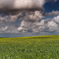 Maremma di 