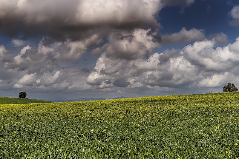 Maremma di Giorgiopaggetti