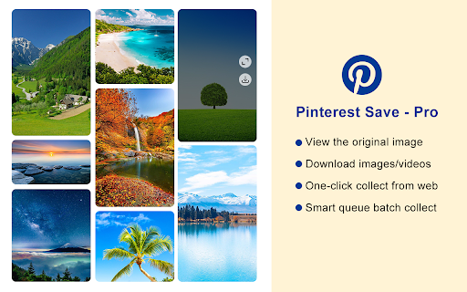 Pinterest Save - Pro