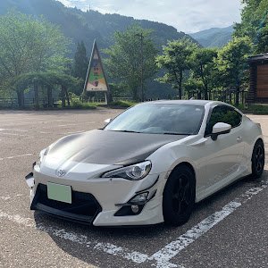 86 ZN6