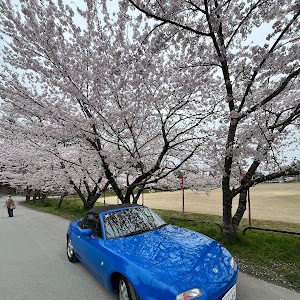 ロードスター NA6CE