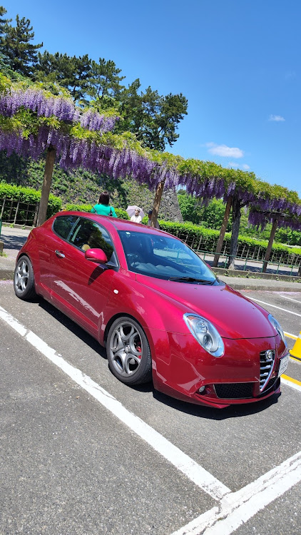 MiToのAlfa Romeo Mito・ドライブ・藤棚とコラボに関するカスタム事例の投稿画像1枚目