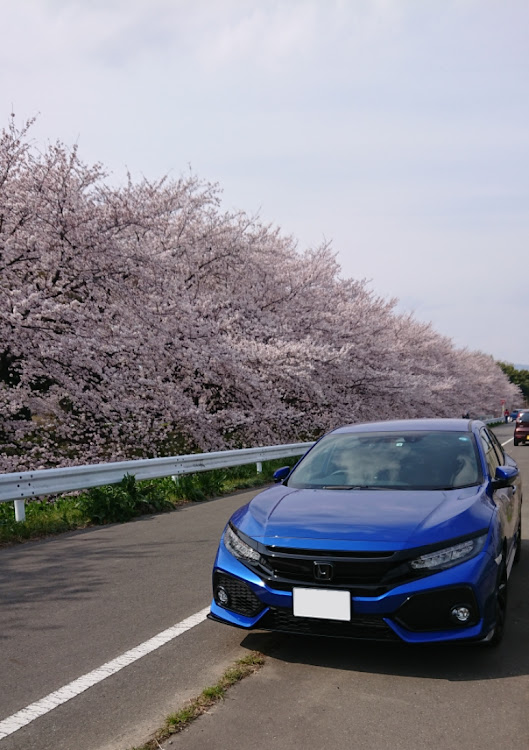 シビックの桜・さくらとコラボ・桜とコラボに関するカスタム事例の投稿画像1枚目