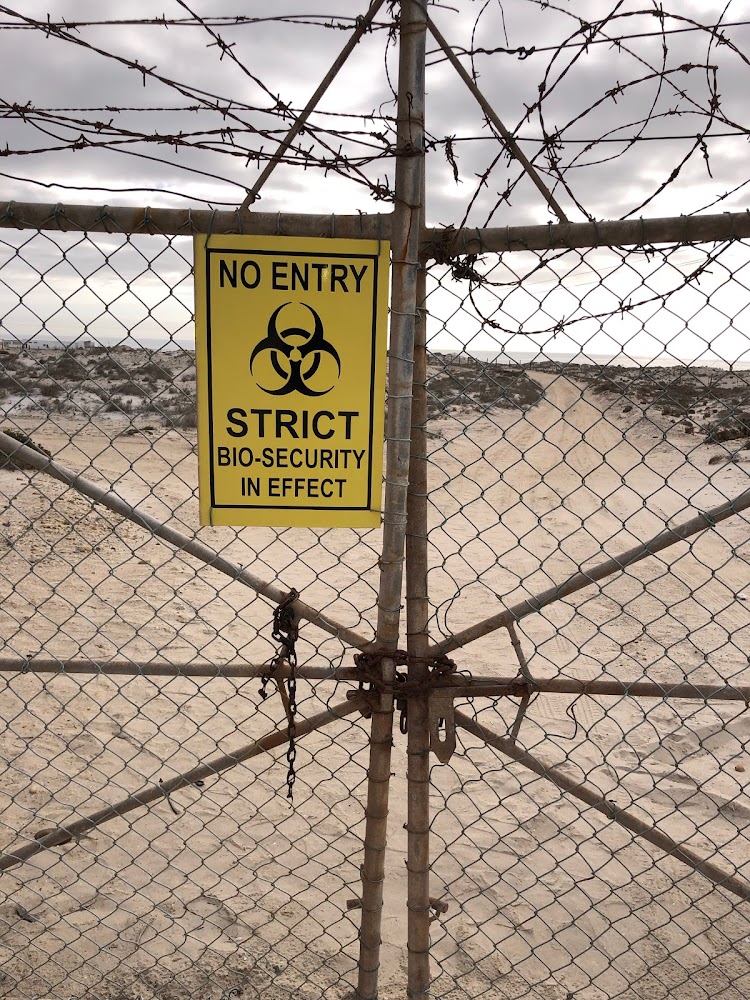 The abalone farm in Port Nolloth was closed down when the new Chinese owners were caught with illicit abalone.