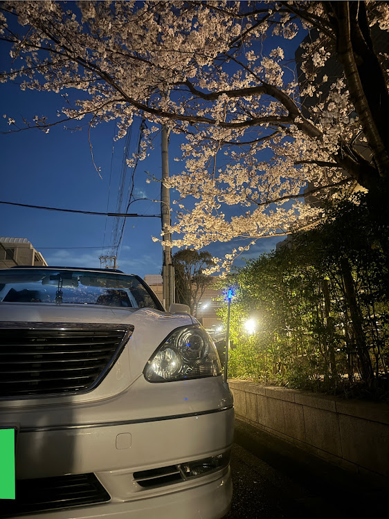 セルシオの極車ちゃんねる・チャンネル登録よろしくお願いします・4月もよろしくお願い致します🌸・桜とコラボ・60センチュリーに関するカスタム事例の投稿画像2枚目