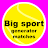 Big sport - generator matches icon