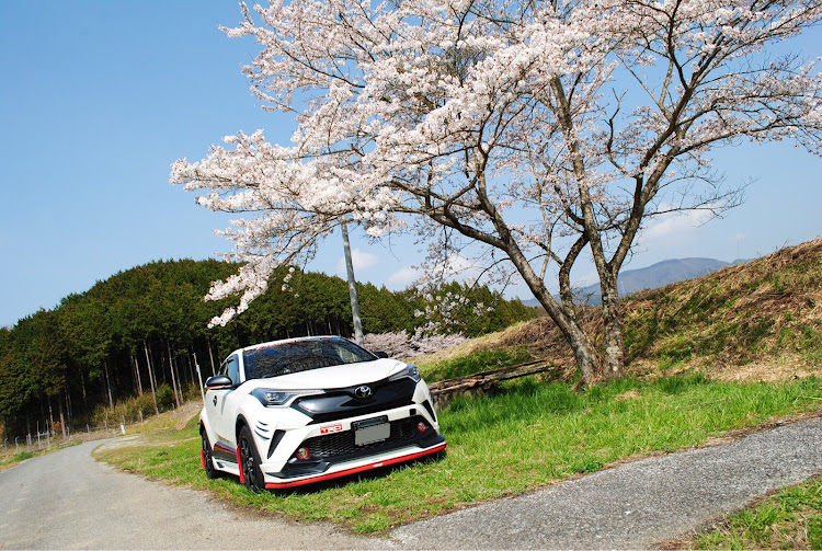 C-HRのC-HR・桜と愛車・桜とコラボ・桜・車が好きな人と繋がりたいに関するカスタム事例の投稿画像2枚目