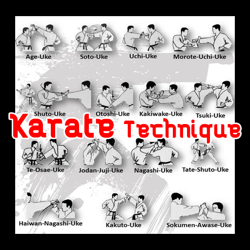 Learn Karate Technique