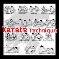 Learn Karate Technique