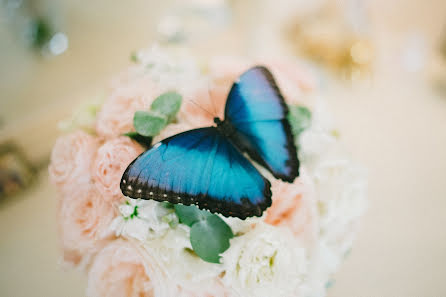 Fotografo di matrimoni Sasha Anashina (suncho). Foto del 12 gennaio 2018