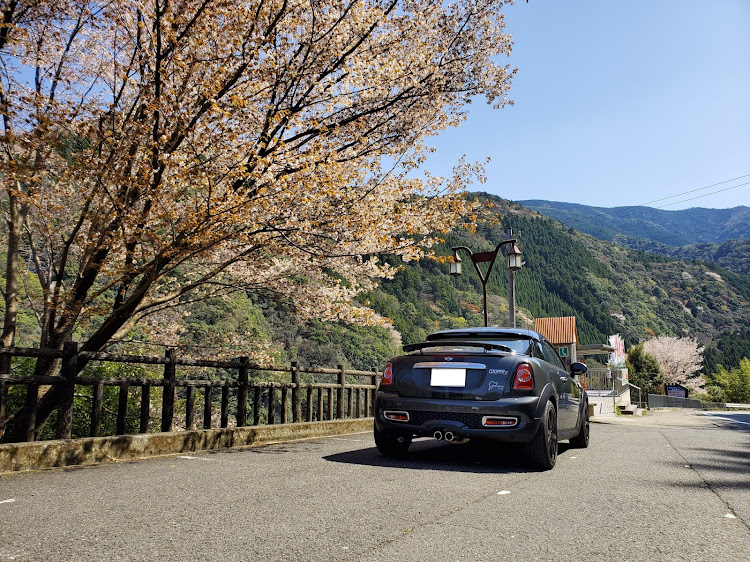 ミニ クーペの桜コラボ・MINI・R58に関するカスタム事例の投稿画像2枚目