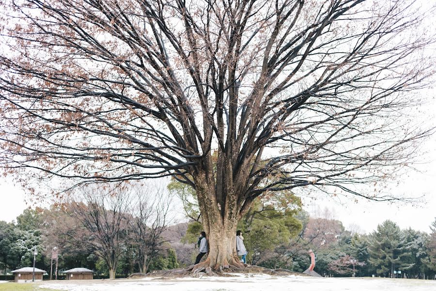 Fotograful de nuntă Kensuke Sato (kensukesato). Fotografia din 27 februarie 2017