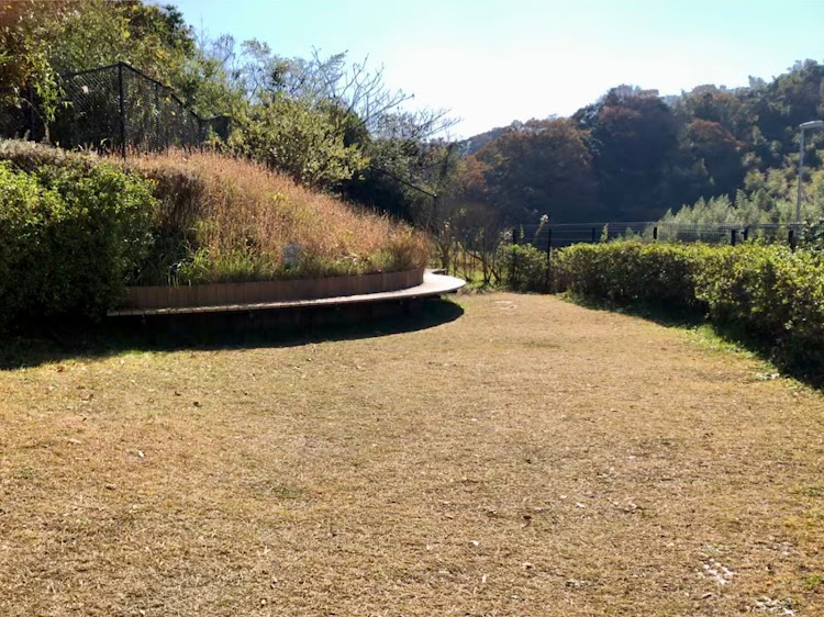 ヴェルファイアの保田小学校に関するカスタム事例の投稿画像4枚目