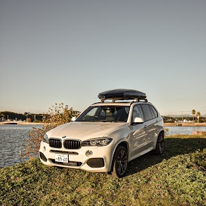 X5 xDrive 35d