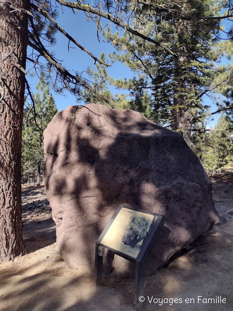 Lassen Volcanic NM - Devastated area