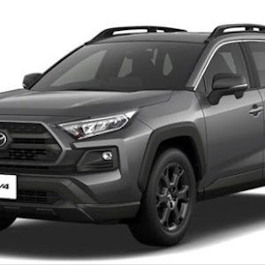 RAV4 MXAA54