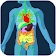 Gut Microbiome icon