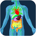 Gut Microbiome Apk