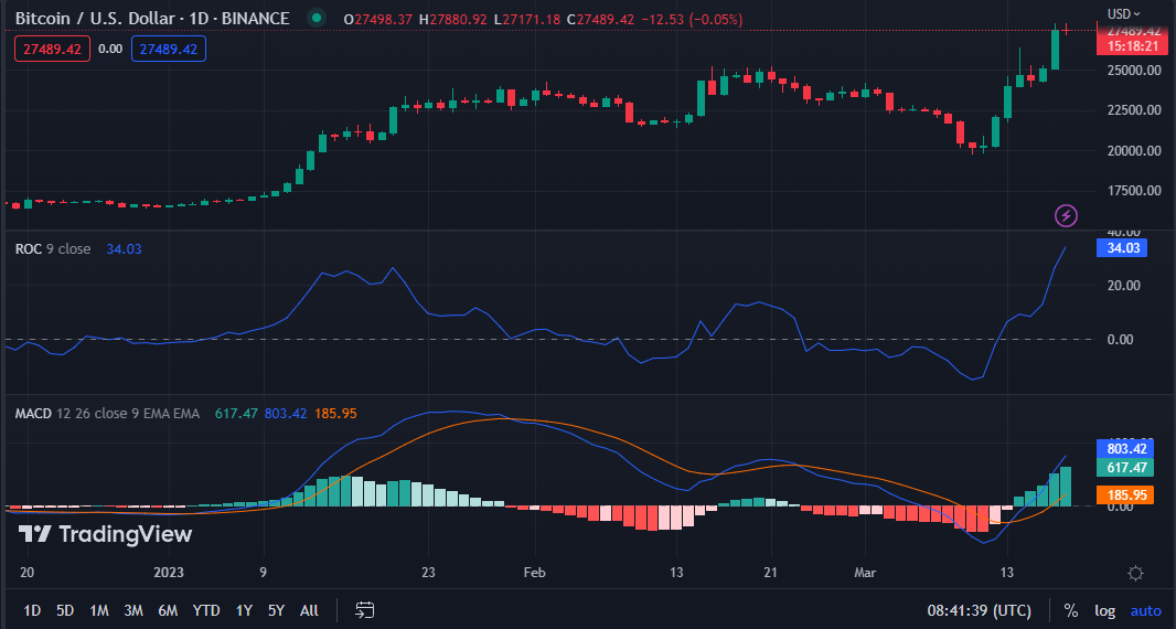 BTC/USD chart (source: TradingView)