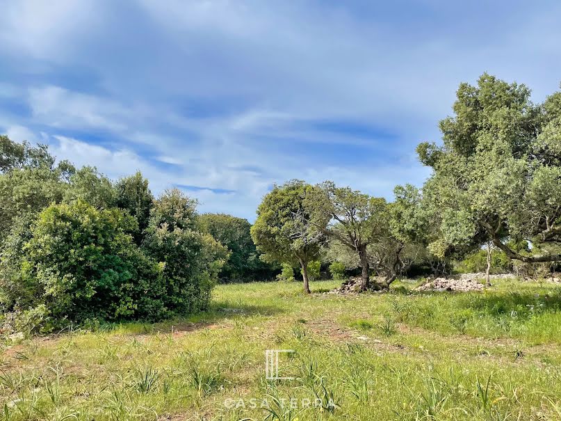 Vente terrain  2263 m² à Bonifacio (20169), 570 000 €