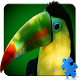 Birdies LWP + Games Puzzle