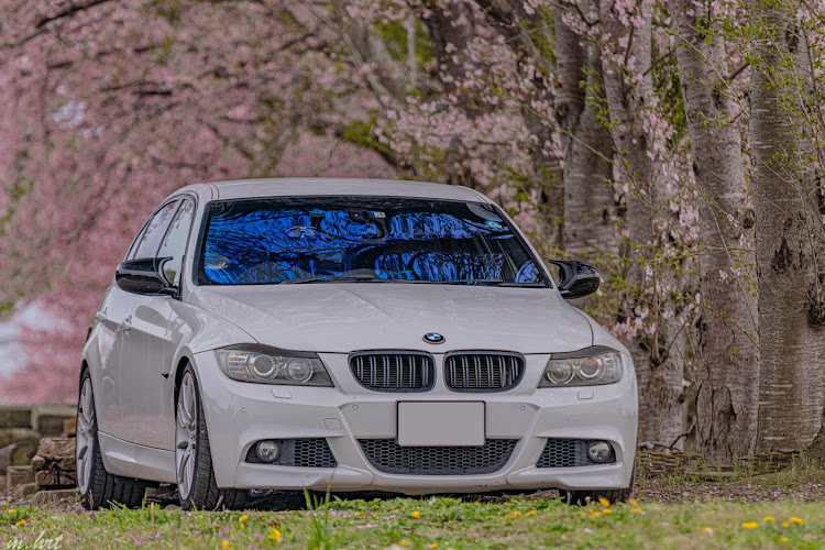 3シリーズ セダンの3シリーズ セダン・discover＿ct・桜とコラボ・菜の花コラボ・サクラと愛車に関するカスタム事例の投稿画像6枚目
