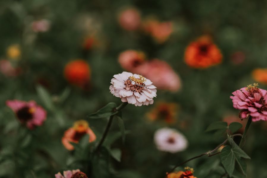 結婚式の写真家Sam Torres (samtorres)。2018 9月5日の写真