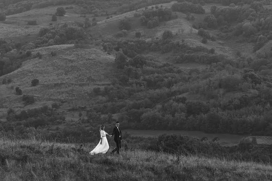 Wedding photographer Nikola Segan (nikolasegan). Photo of 27 October 2021