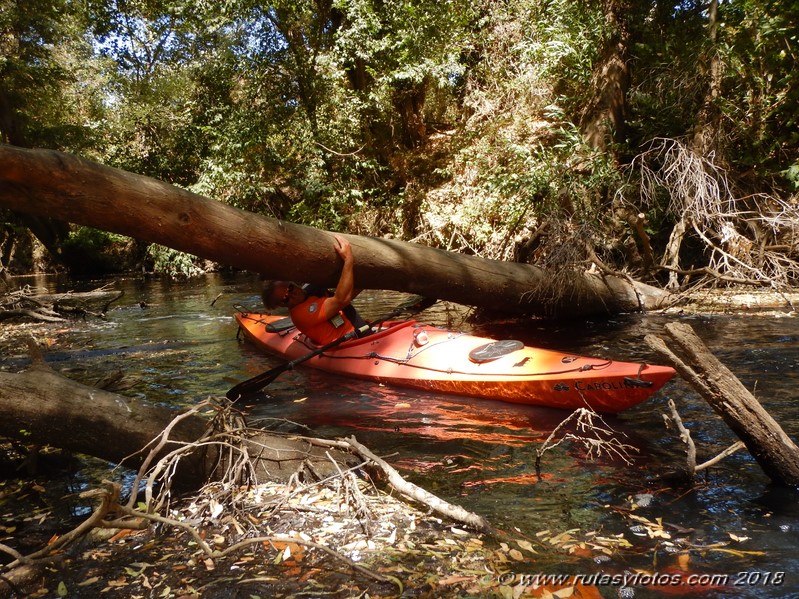 Kayak río Palmones