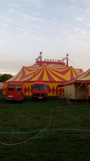 Cirkus