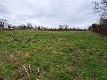 terrain à Lezoux (63)