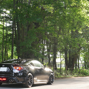 86 ZN6
