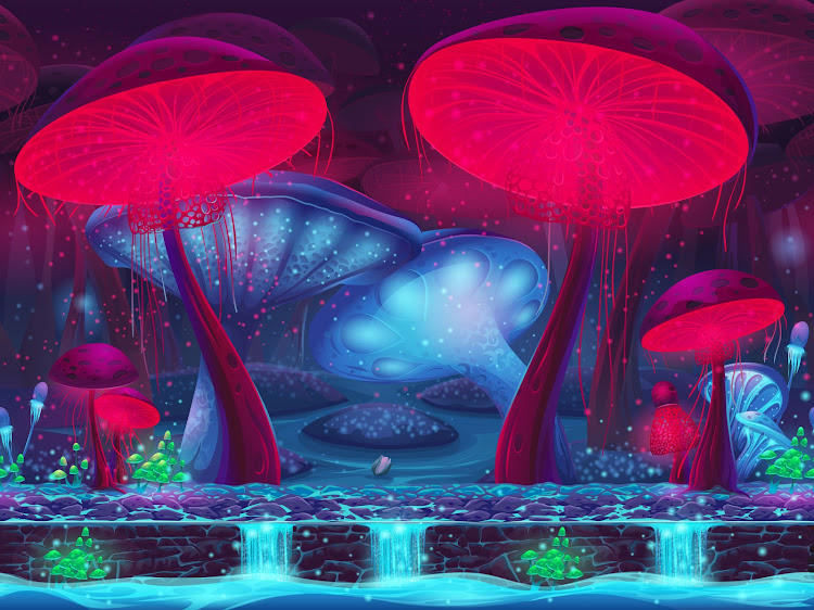 Magic mushrooms.