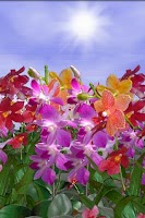 Orchids Live Wallpaper Screenshot