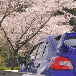 WRX STIのDIXCELSDスリットローター・DIXCEL・DIXCEL SD・スリット