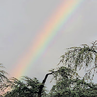 Fugace come un arcobaleno di 