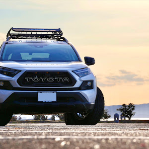 RAV4 AXAH54