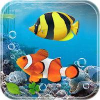 Aquarium Fish Live Wallpaper 2019 Koi Fish Free