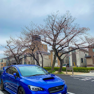 WRX STI