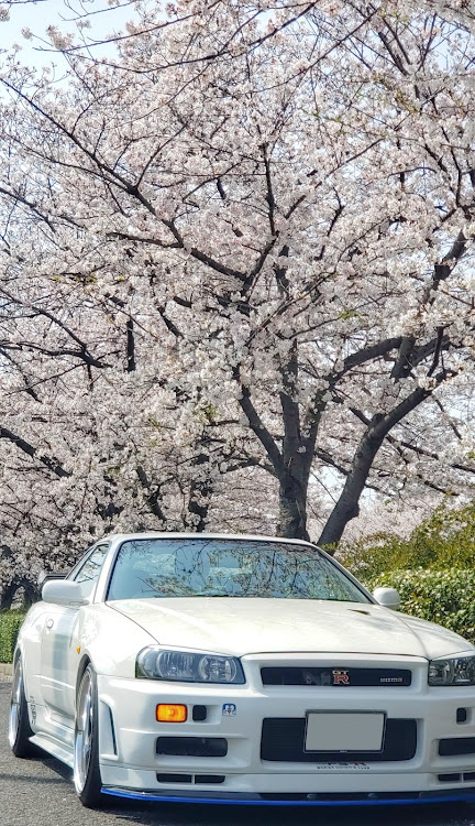 スカイライン GT-Rの#skylinegtr34・桜と愛車・緊急事態宣言・コロナウイルスに負けるなに関するカスタム事例の投稿画像1枚目