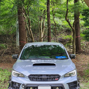 WRX STI VAB