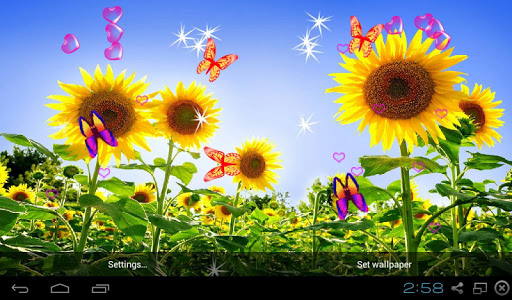 3D Sunflower Wallpapers