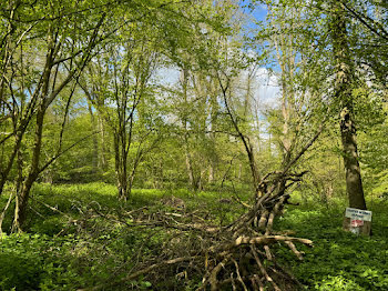 terrain à Hallivillers (80)