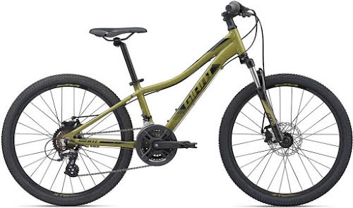 Giant 2020 XtC JR Disc 24" Mountain Bike